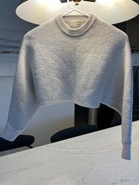 Wilfred Neutral Cropped Mock Neck Sweater Top